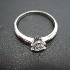 Pt1000.D0.507ct