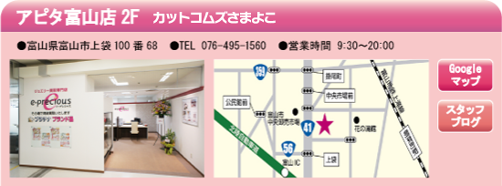 アピタ富山店